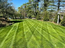 Lawn Maintenance project 1