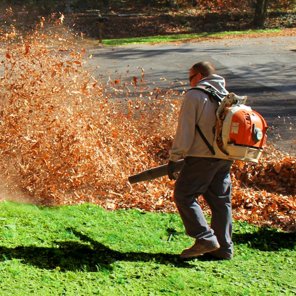 Leaf Removal in Clinton project 3