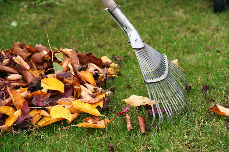 Leaf Removal in Clinton project 4