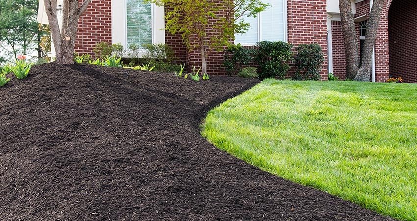 Mulch  project 1