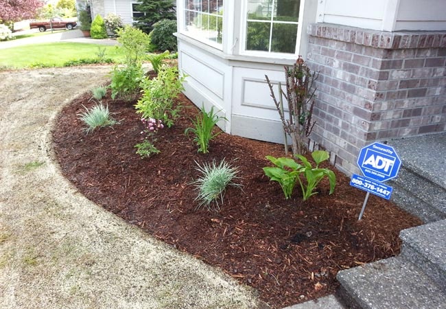 Mulch  project 2