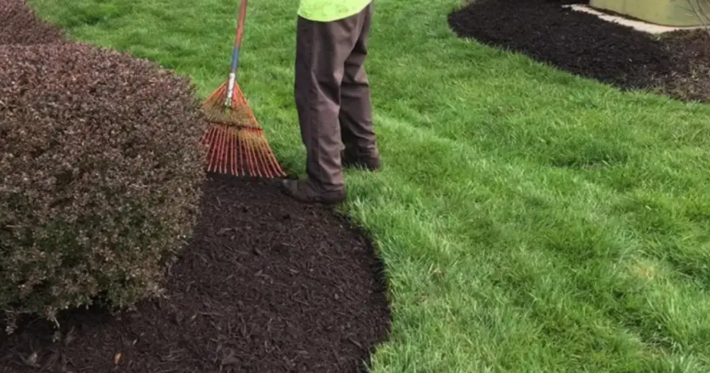 Mulch  project 6