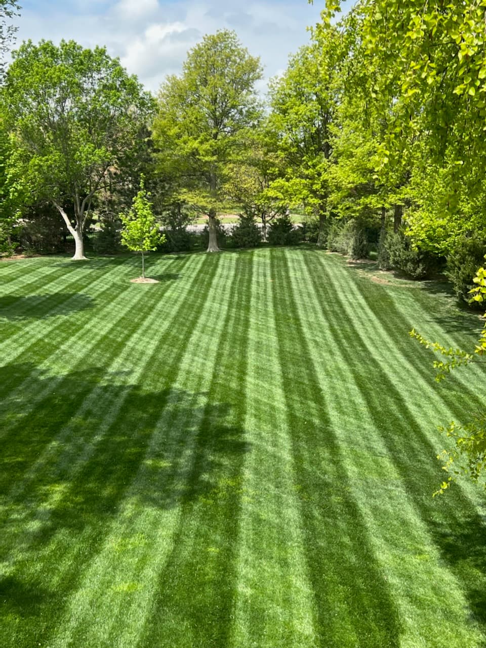 Lawn Maintenance Services in Clinton, IA