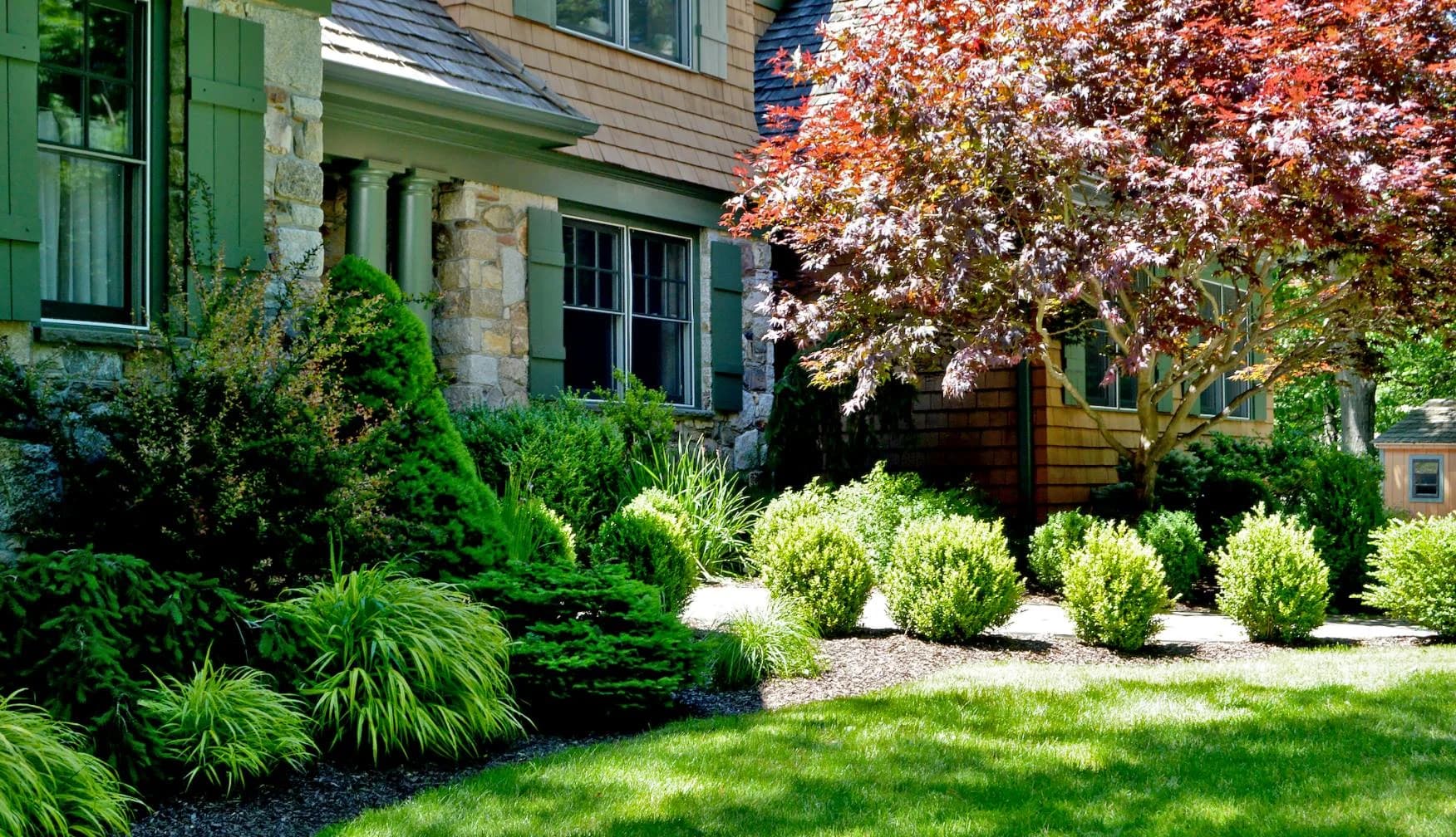 Tree & Shrub Planting Services in Clinton, IA